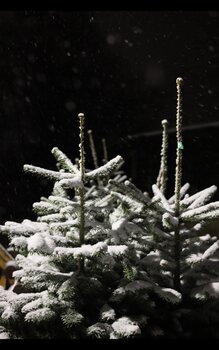 Doen! Kerstboom en kerstgroen recyclen