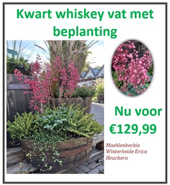 1/4 Whiskeyvat met beplanting