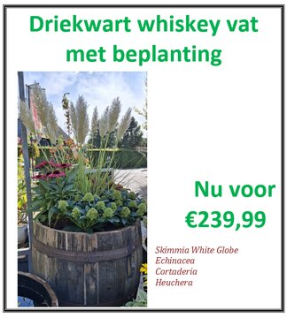 3/4 Whiskey vat met beplanting