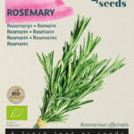 Buzzy® Organic Rozemarijn  (BIO)