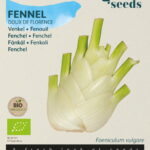 Buzzy® Organic Venkel Doux de Florence (BIO)