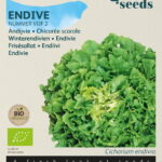 Buzzy® Organic Andijvie Nummer Vijf 2 (BIO)