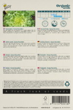 Buzzy® Organic Krulandijvie Grosse Pancalière  (BIO) - Afbeelding 2