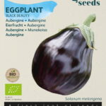 Buzzy® Organic Aubergine Black Beauty (BIO)