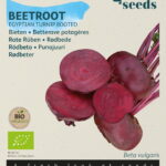 Buzzy® Organic Bieten Egyptische Platronde (BIO)