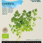 Buzzy® Organic Kervel Fijne Krul  (BIO)