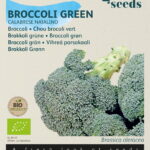 Buzzy® Organic Broccoli Calabrese natalino (BIO)