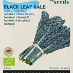 Buzzy® Organic Palmkool Nero di Toscana (BIO)