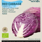 Buzzy® Organic Rode Kool Klimaro F1 (BIO)