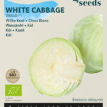 Buzzy® Organic Witte Kool Drago F1 (BIO)