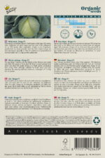 Buzzy® Organic Witte Kool Drago F1 (BIO) - Afbeelding 2