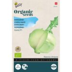 Buzzy® Organic Koolrabi Korist F1 (BIO)