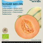 Buzzy® Organic Suikermeloen Charentais  (BIO)