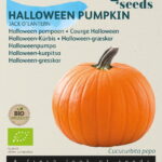 Buzzy® Organic Pompoen Jack O'Lantern (BIO)