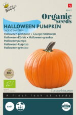Buzzy® Organic Pompoen Jack O'Lantern (BIO)