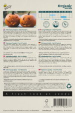 Buzzy® Organic Pompoen Jack O'Lantern (BIO) - Afbeelding 2