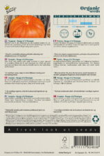 Buzzy® Organic Pompoen Rode van Etampes (BIO) - Afbeelding 2