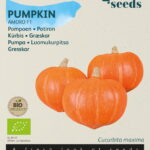 Buzzy® Organic Pompoen Amoro F1 (BIO)