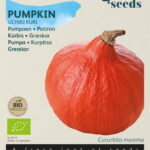 Buzzy® Organic Pompoen Uchiki Kuri  (BIO)