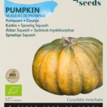 Buzzy® Organic Eetbare Pompoen Musquée de Provence  (BIO)