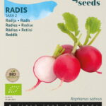 Buzzy® Organic Radijs Saxa 2 (BIO)
