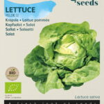 Buzzy® Organic Kropsla Hilde II (BIO)