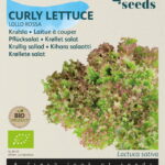 Buzzy® Organic Krulsla Lollo Rossa  (BIO)