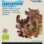 Buzzy® Organic Pluksla Red Salad Bowl  (BIO)