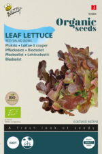 Buzzy® Organic Pluksla Red Salad Bowl  (BIO)