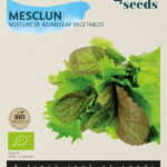Buzzy® Organic Aziatische Mesclun (BIO)