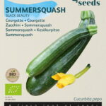 Buzzy® Organic Courgette Black Beauty (BIO)
