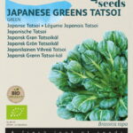 Buzzy® Organic Tatsoi (BIO)