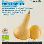 Buzzy® Organic Eetbare Pompoen Waltham Butternut  (BIO)