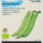 Buzzy® Organic Tuinbonen Witkiem (BIO)