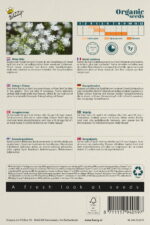 Buzzy® Organic Ammi Majus, Witte Dille (BIO) - Afbeelding 2
