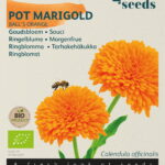 Buzzy® Organic Calendula, Goudsbloem Ball's Orange  (BIO)