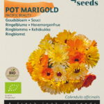Buzzy® Organic Calendula, Goudsbloem Pacific Beauty (BIO)