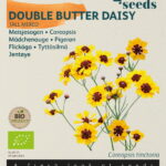Buzzy® Organic Coreopsis, Meisjesogen (BIO)