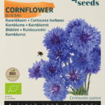 Buzzy® Organic Centaurea, Korenbloem Blue Ball (BIO)