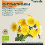 Buzzy® Organic Chrysanthemum enkelbloemig gemengd (BIO)