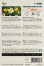 Buzzy® Organic Chrysanthemum enkelbloemig gemengd (BIO) - Afbeelding 2