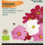 Buzzy® Organic Cosmos Sensation (BIO)