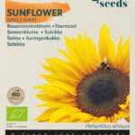Buzzy® Organic Helianthus, Reuzenzonnebloem giganteus  (BIO)
