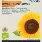 Buzzy® Organic Helianthus, Lage zonnebloem Sunspot (BIO)