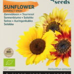 Buzzy® Organic Helianthus, Zonnebloem Compact Spray(BIO)