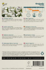 Buzzy® Organic Iberis, Scheefbloem Empress (BIO) - Afbeelding 2