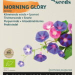 Buzzy® Organic Ipomoea, Klimmende Winde gemengd  (BIO)