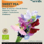 Buzzy® Organic Lathyrus, Reuk- of Siererwt Spencer (BIO)