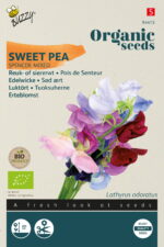 Buzzy® Organic Lathyrus, Reuk- of Siererwt Spencer (BIO)