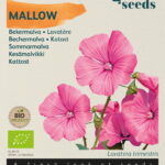 Buzzy® Organic Lavatera, Bekermalva rose/rood  (BIO)